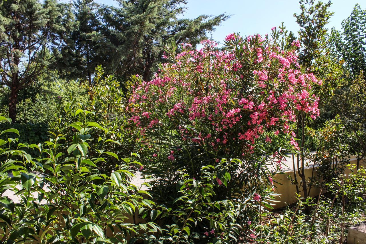 Nireas Resort Corfu Acharavi  Exterior photo